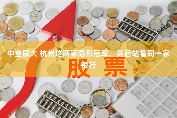 中金辰大 杭州这两家隐形冠军，身后站着同一家银行