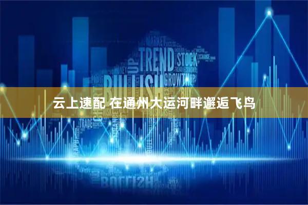 云上速配 在通州大运河畔邂逅飞鸟