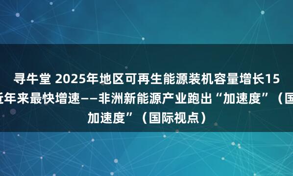 寻牛堂 2025年地区可再生能源装机容量增长15.9% 为近年来最快增速——非洲新能源产业跑出“加速度”(国际视点)